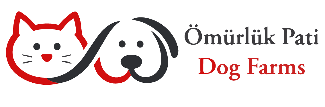Ömürlük Pati